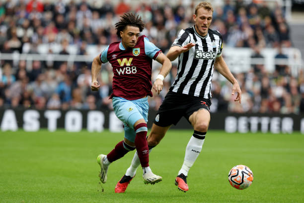 他们计划建 他们计划建